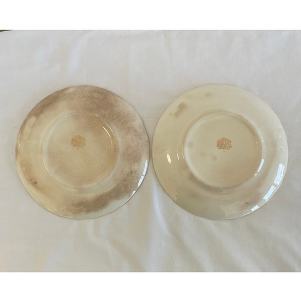 Bakerite Oven-Tested Fruit Dinner Plates Set of 2 Red Rim Apple Pear 9" - Picture 4 of 5